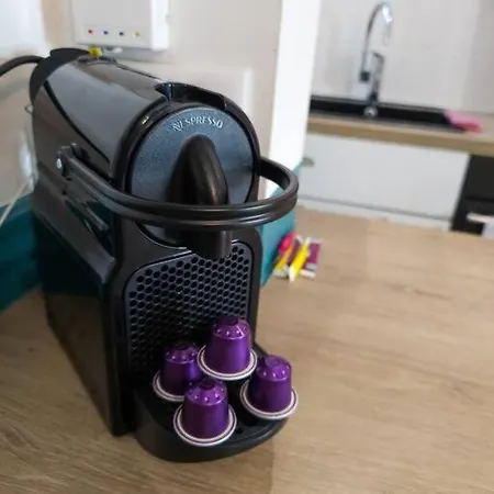 French Luxury Apartment